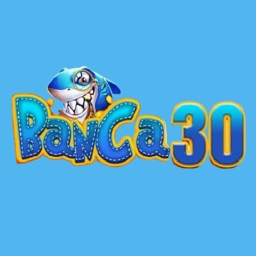 vnbanca23 Logo